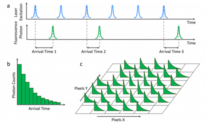 1718778056123600.png image.png