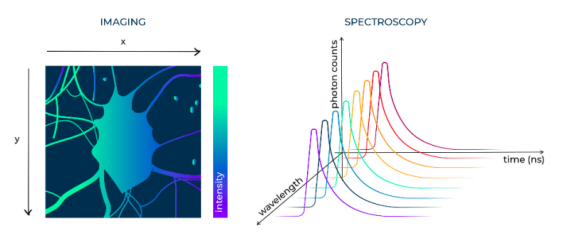 1719906763322308.png image.png